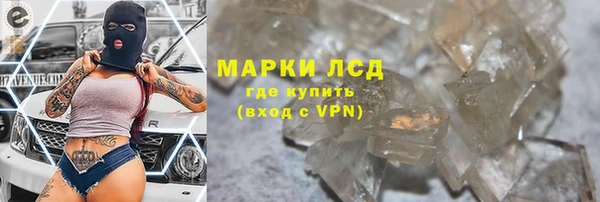 стаф Алзамай